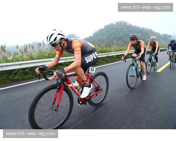 公路车锦标赛——速度与荣耀的狂欢