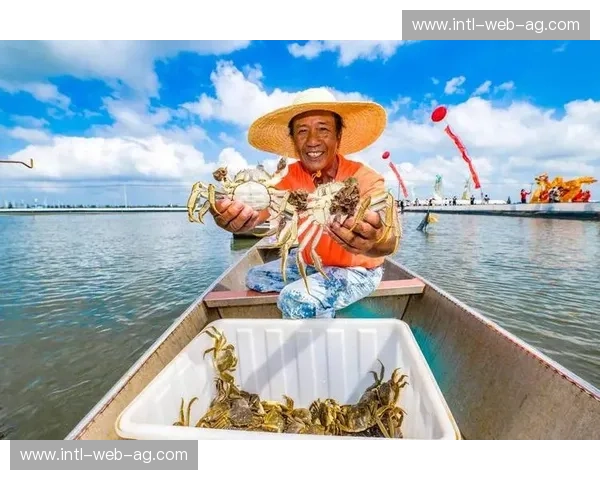 山海之志与鱼米之乡：当福建撞上江苏，谁才是中国沿海的“顶流”灵魂？